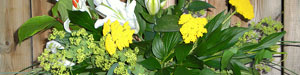 Midsummer Composition
